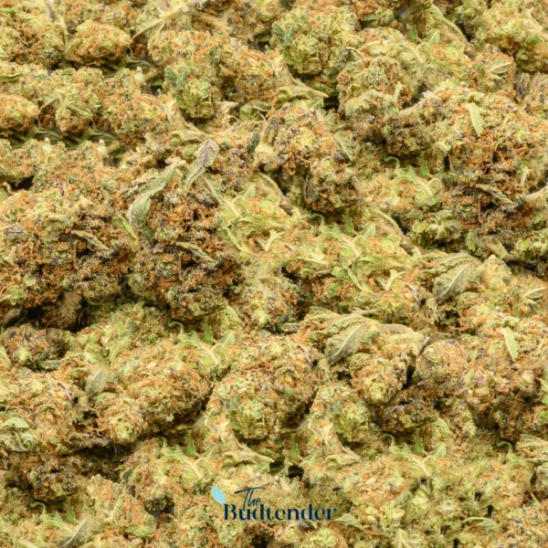 mango tango strain